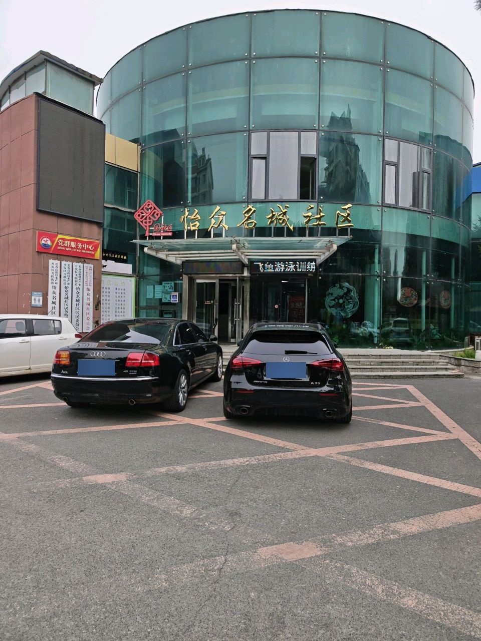 飞鱼游泳训练