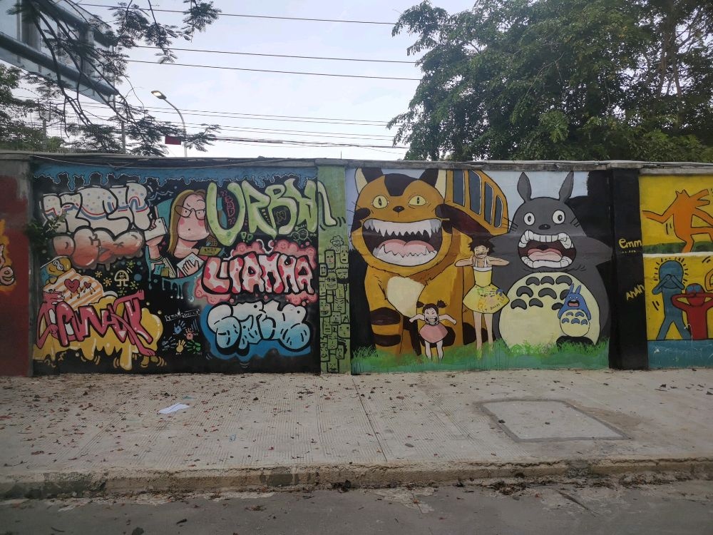 三亚学院东区-漫画墙