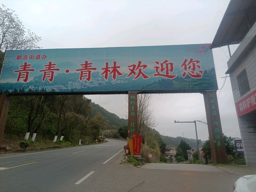 青青·青林景区