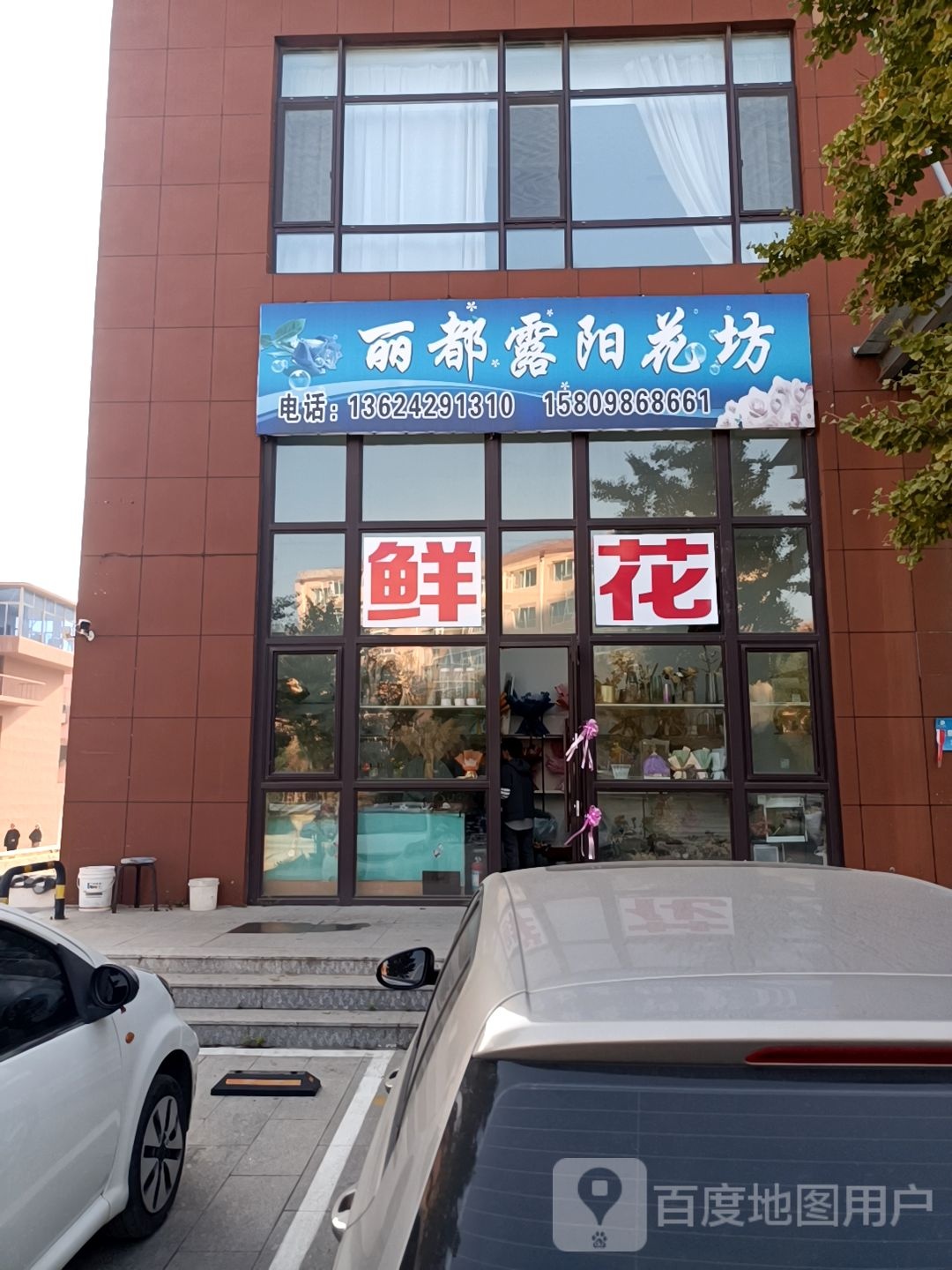 丽都露阳花坊