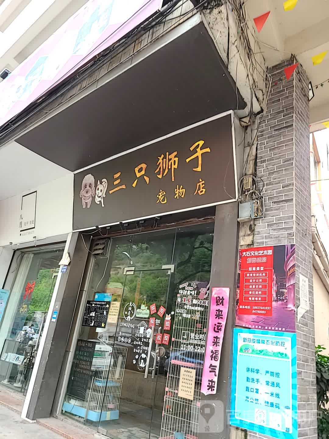 三只狮子宠物店