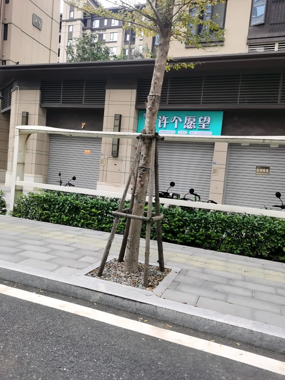 许个愿望·生日蛋糕木糖醇动物奶油冰淇淋(海沧店)