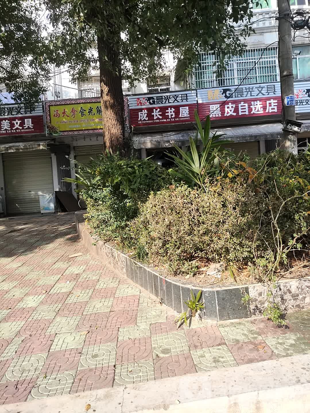 成长书屋