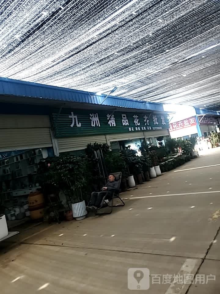 九洲精品花卉批发