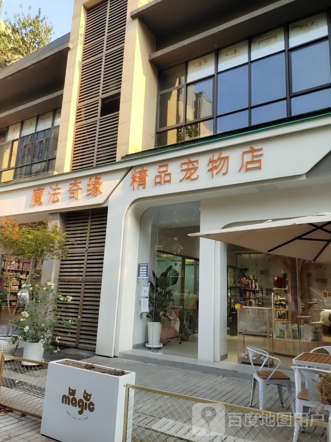 魔法奇缘宠物店