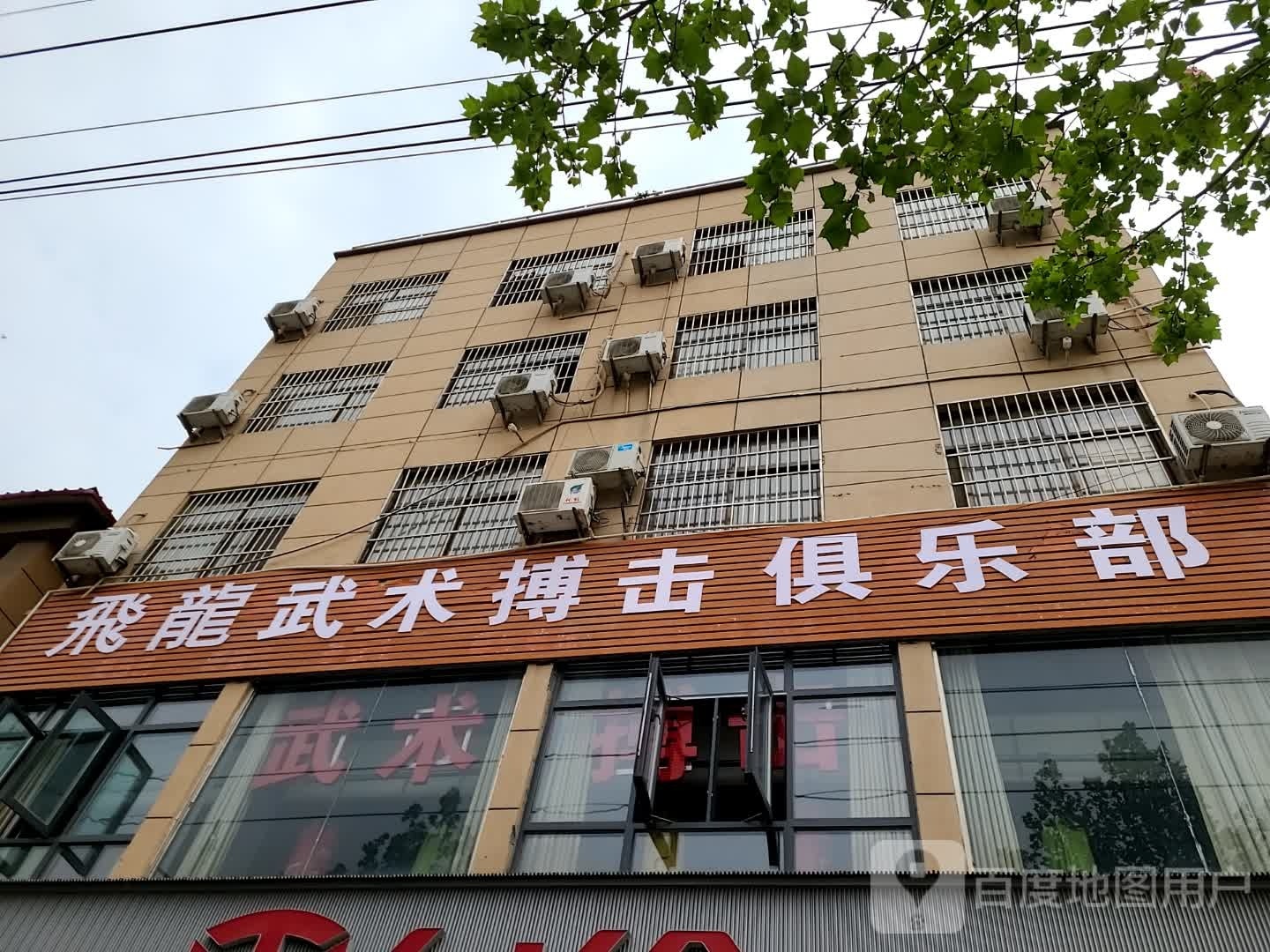 飛龍武术搏击俱乐部