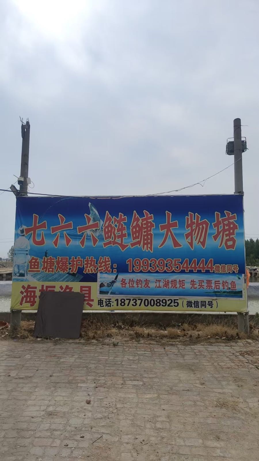 宁陵七六六鲢鳙大物塘