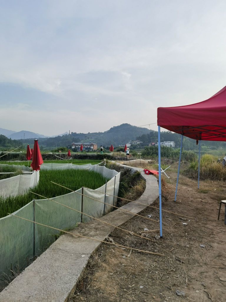 钓蛤蟆蔡家院钓场