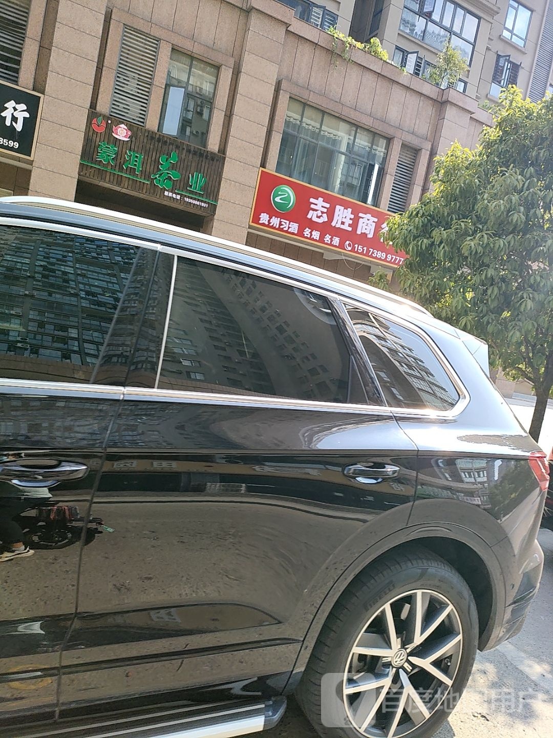 蒙洱茶业
