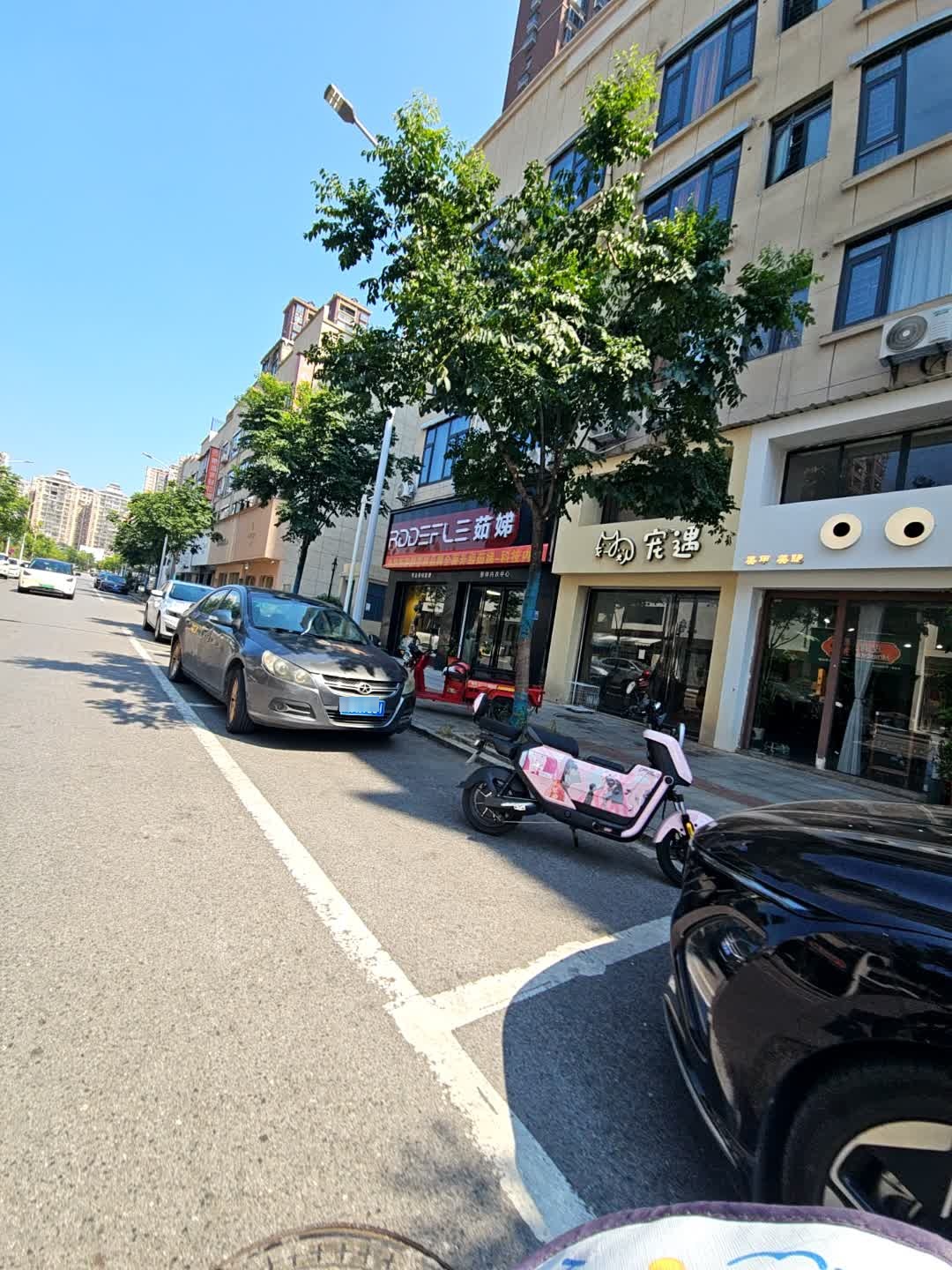 宠遇(艺芳步行街店)