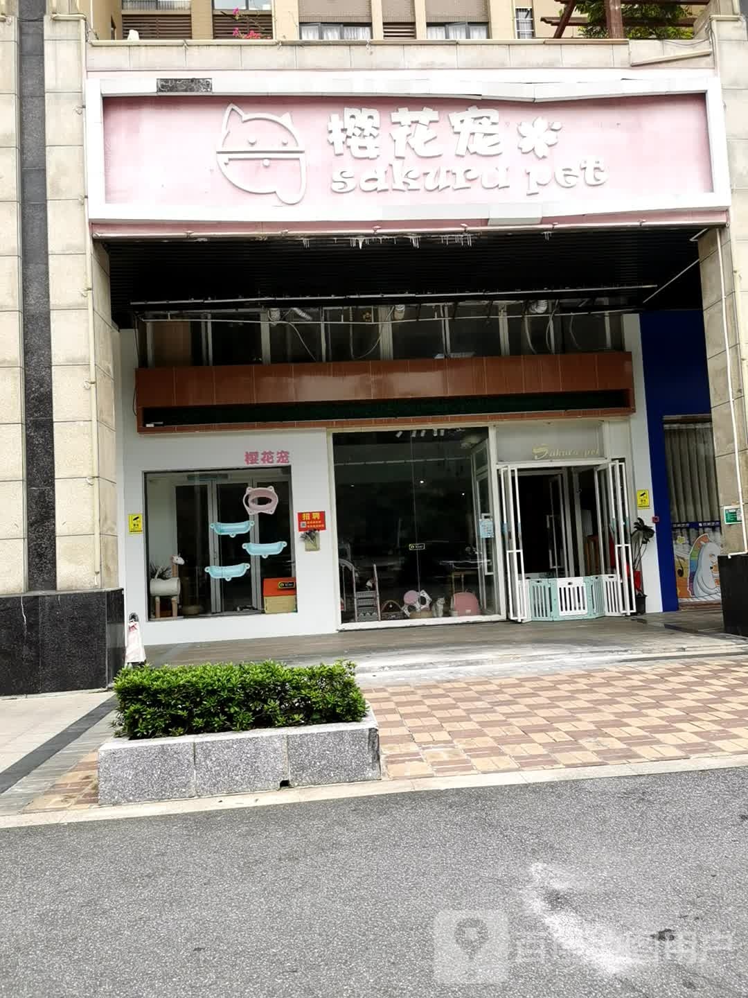 樱花宠物店