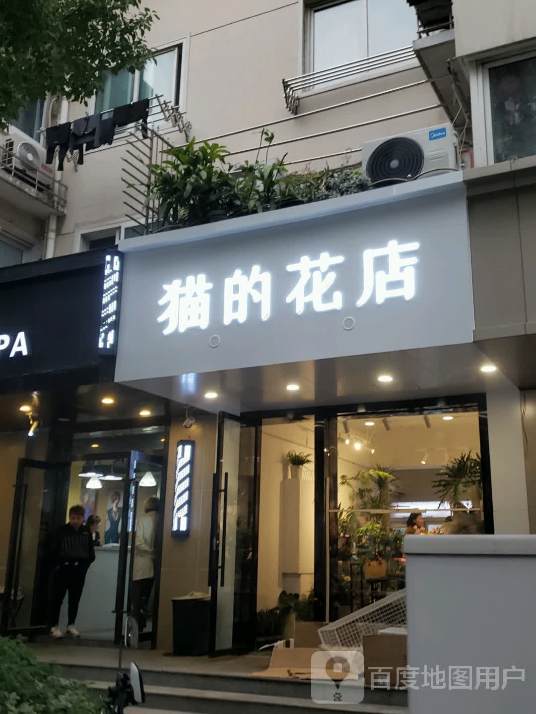 猫的花店