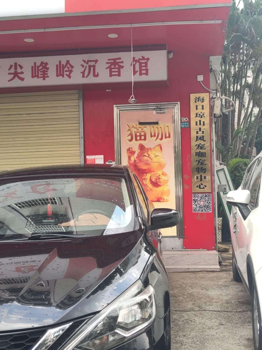 海口琼山古风宠咖宠物中心(金霖花园店)