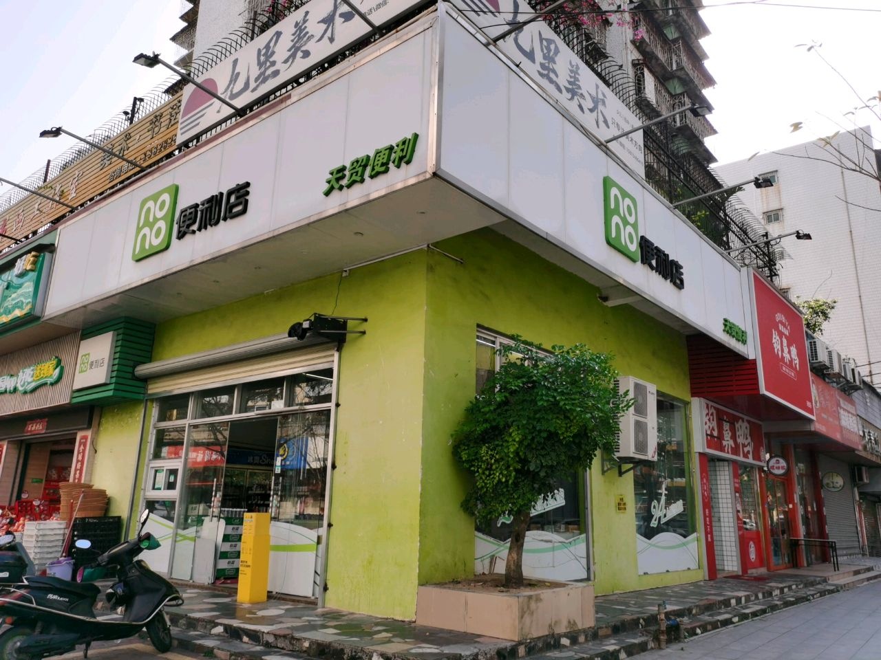 钩鼻鸭