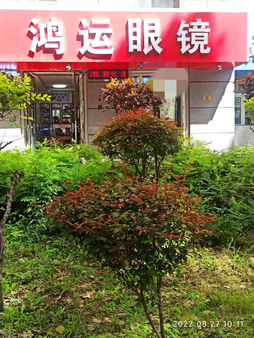 鸿运眼镜(自由大路店)