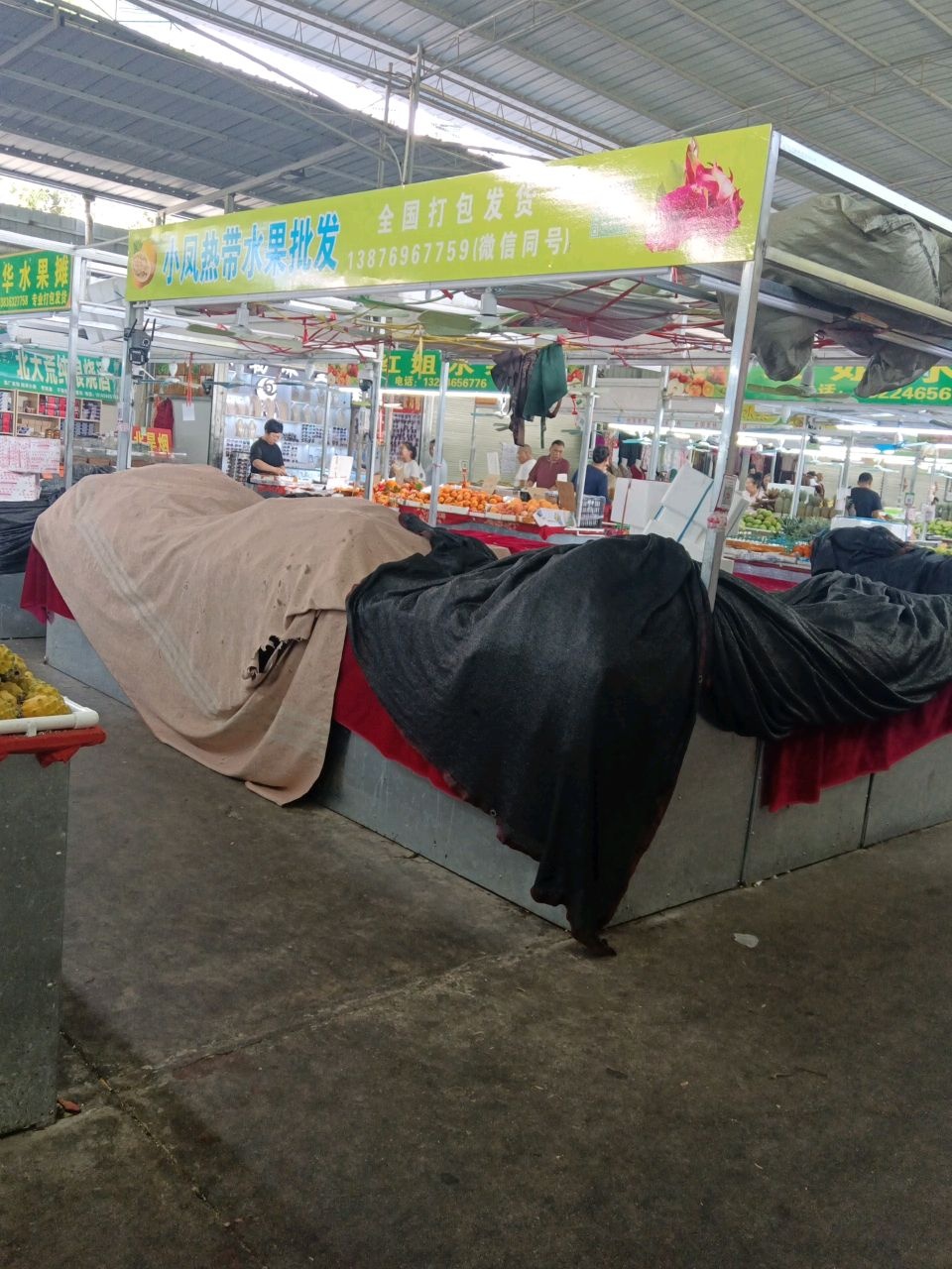 小凤热带水果批发