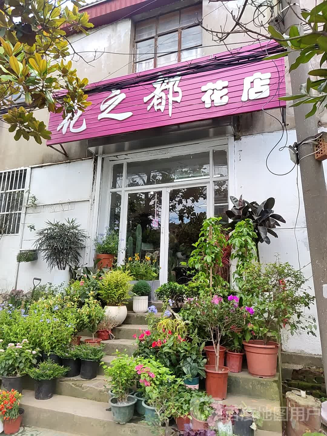花之都花店(北城河西路店)