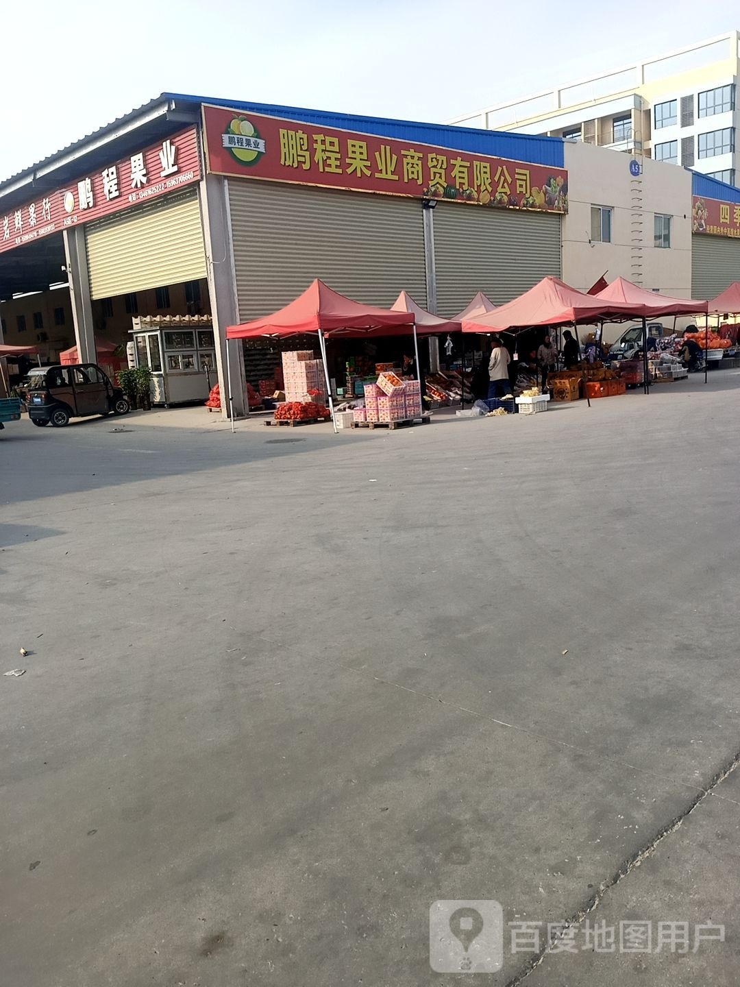 老杨果业