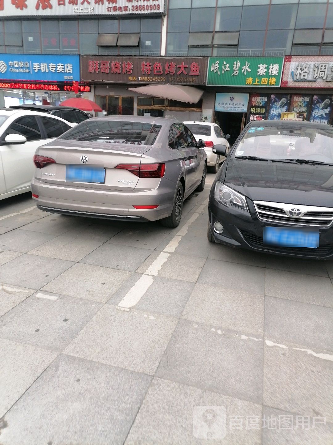 掰哥烧烤色农业烤大鱼