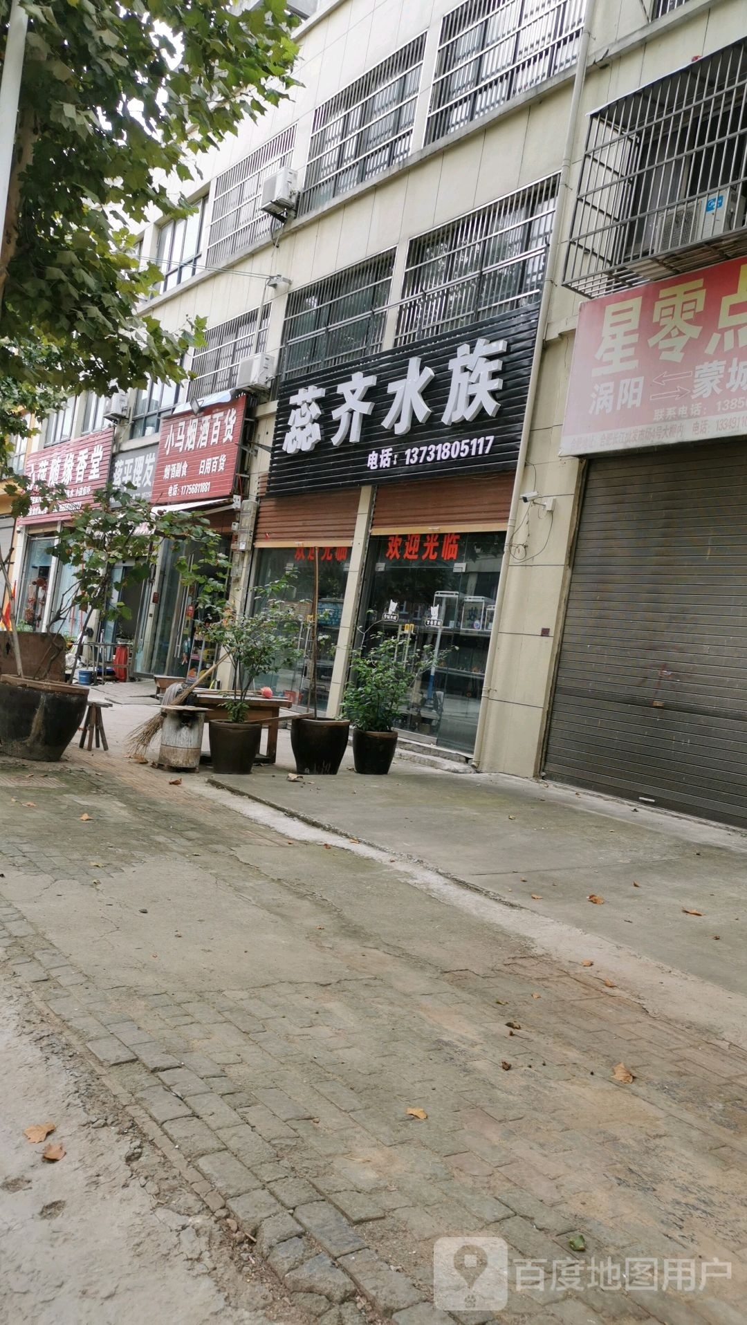 蕊齐水族