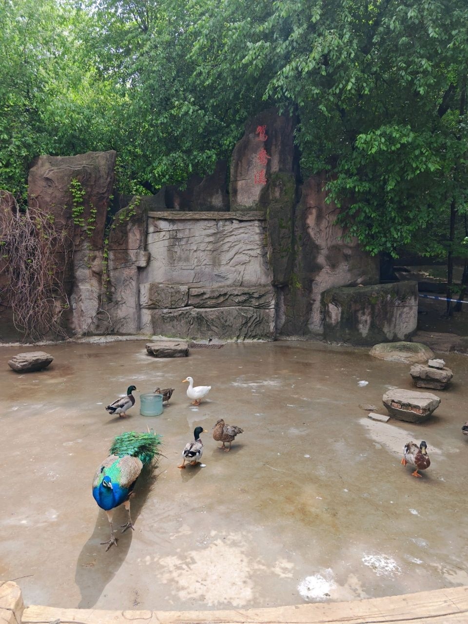 鸳鸯溪