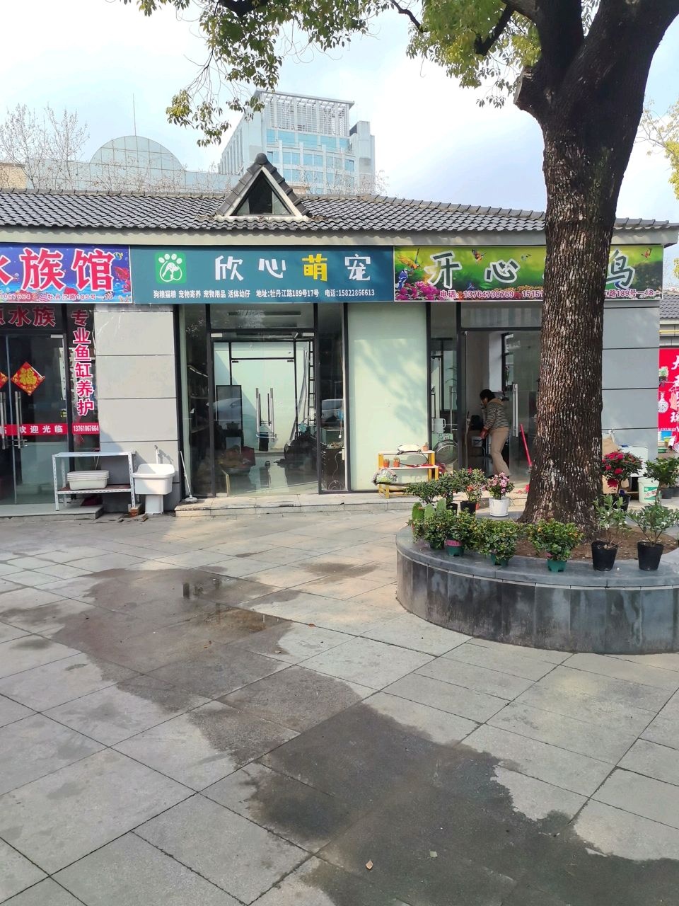 欣心宠物店