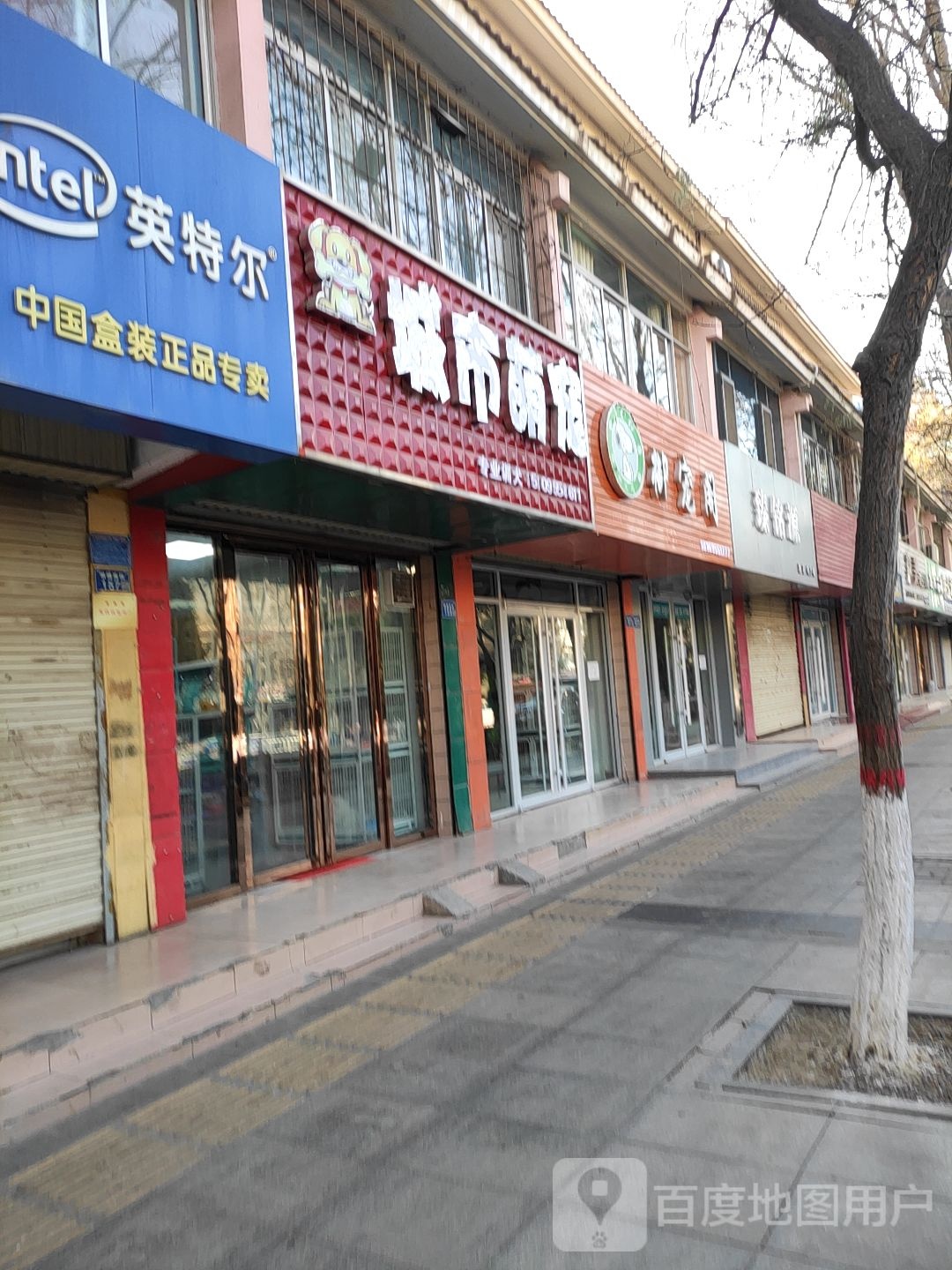 中卫御宠阁宠物生活管(鼓楼南街店)