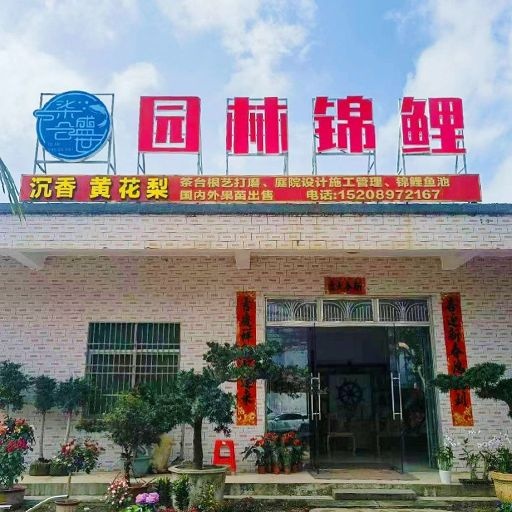 顺芯园林根雕(盆栽花店)