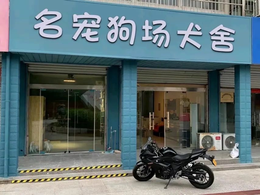 名宠犬舍CKU深圳宠物(狗场直销)