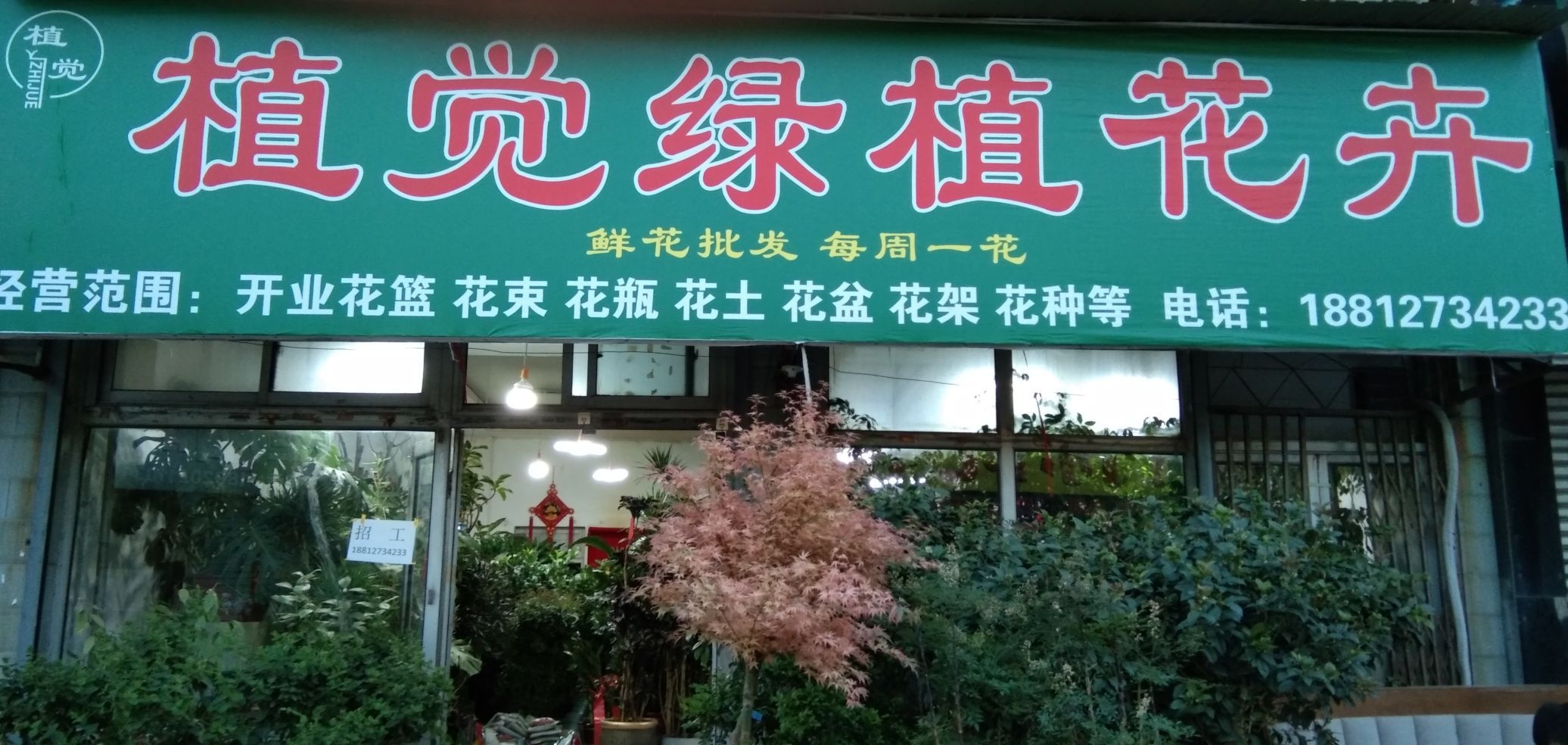 植觉绿植花卉