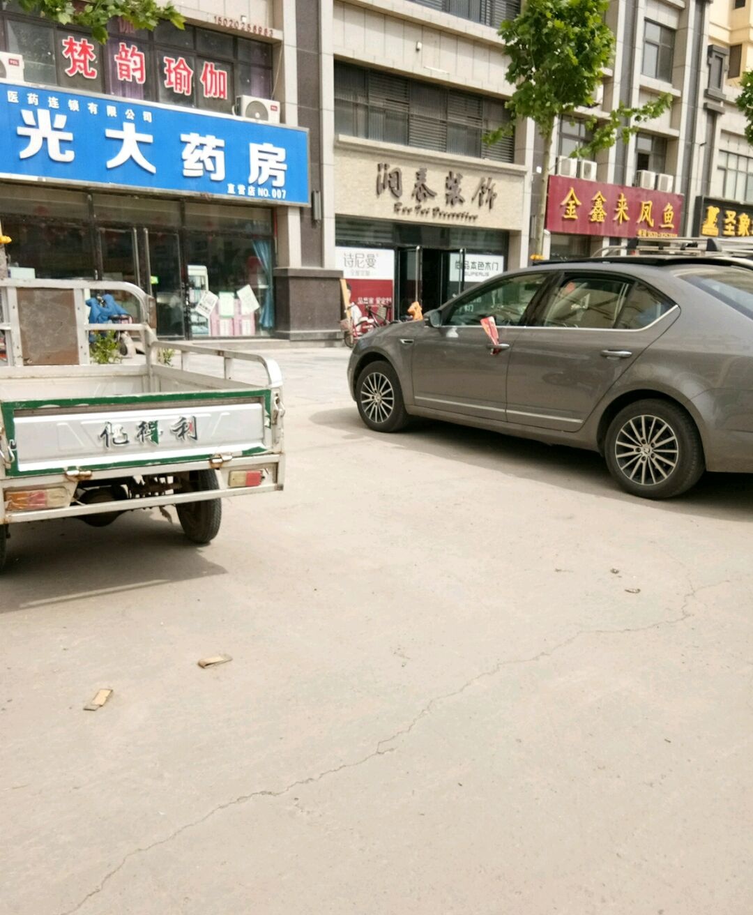 金鑫来凤鱼(至尊·帝都花园店)