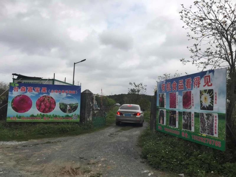 台森嘉宝果(江门基地)