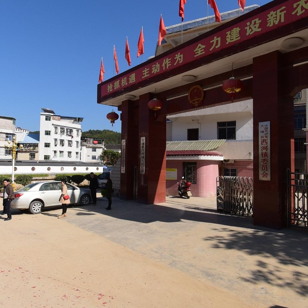 大埔县西河镇人民政府