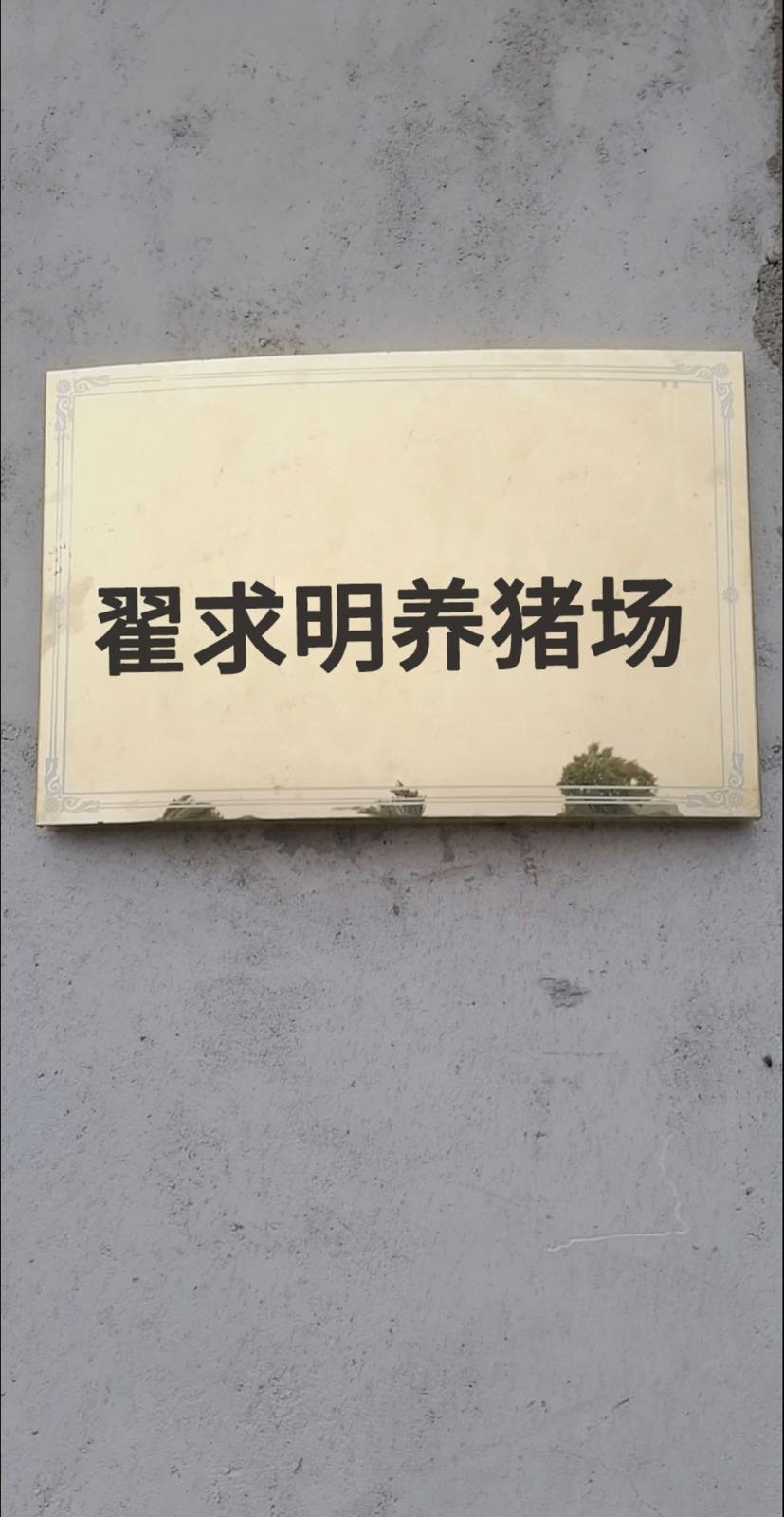 翟求明养猪场