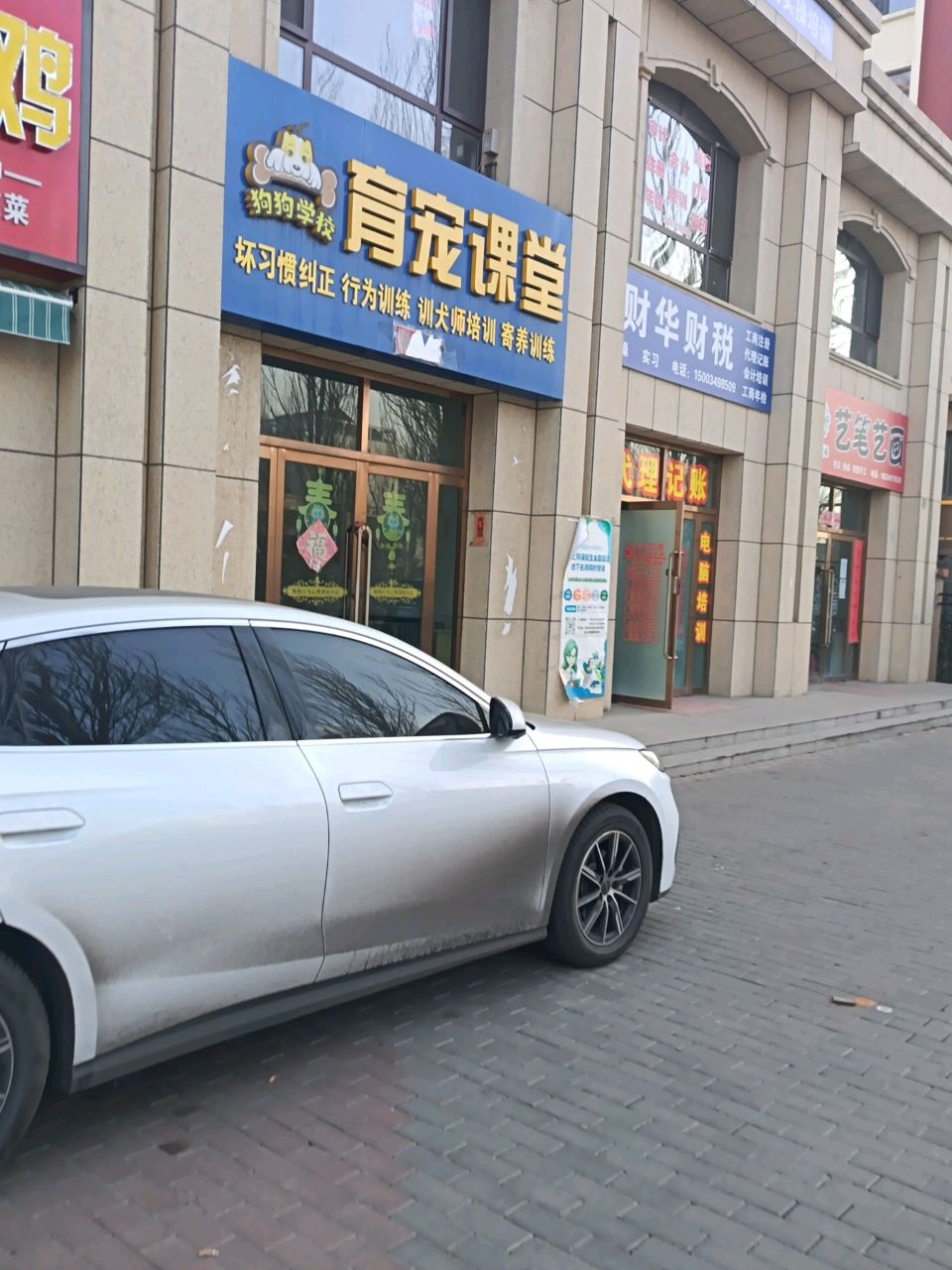 育宠课堂
