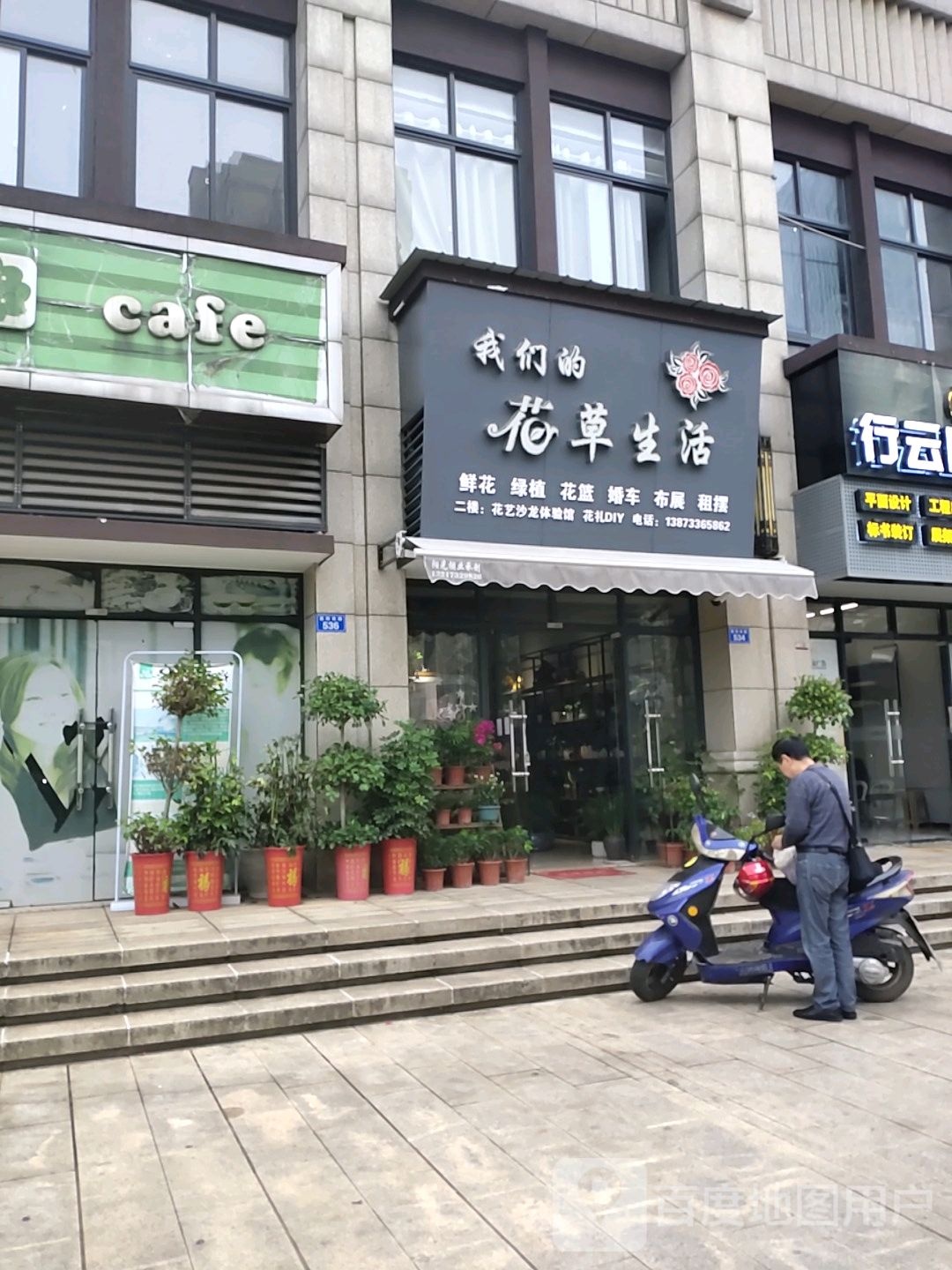 我们的花草生活
