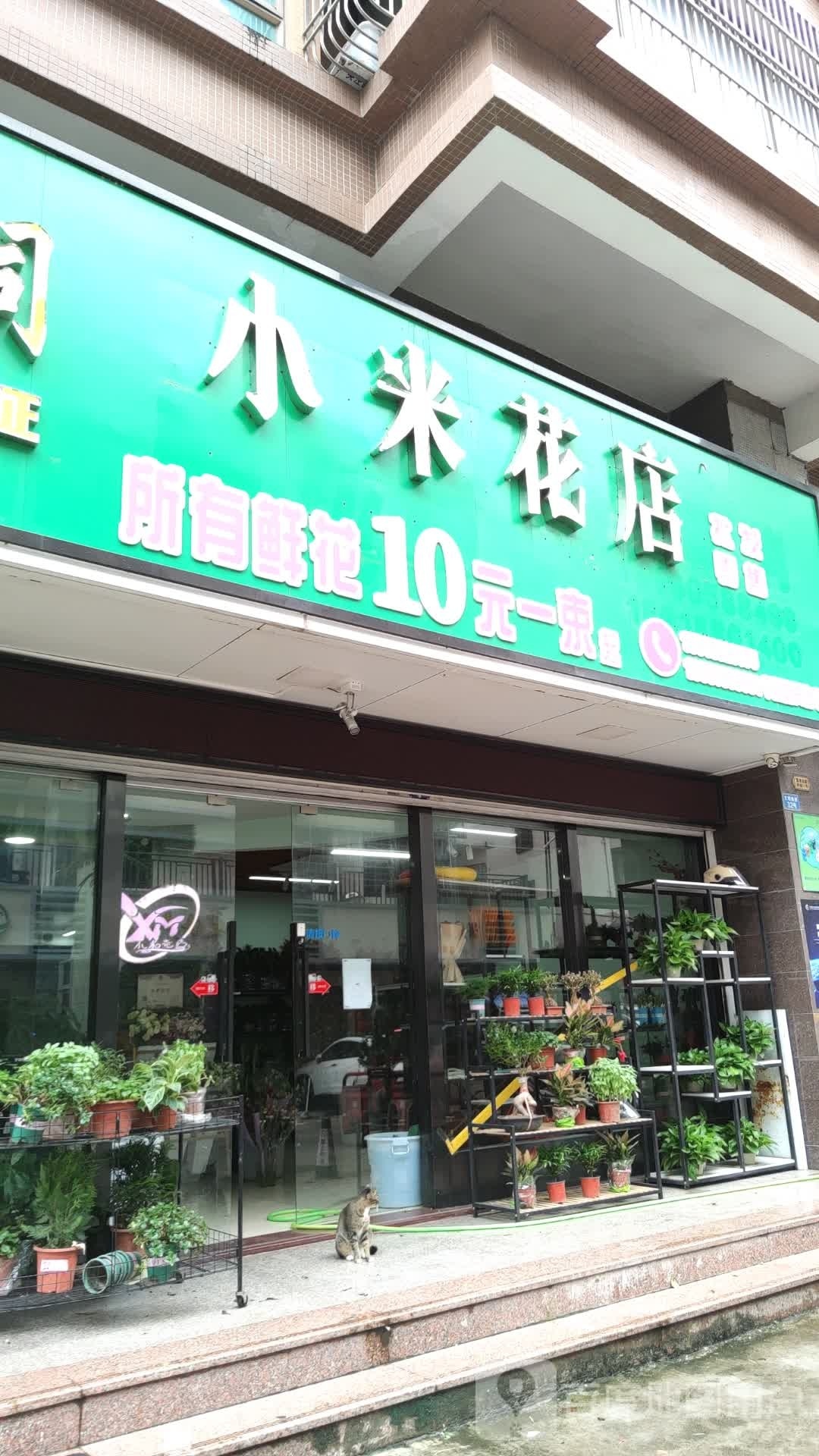 小米花店