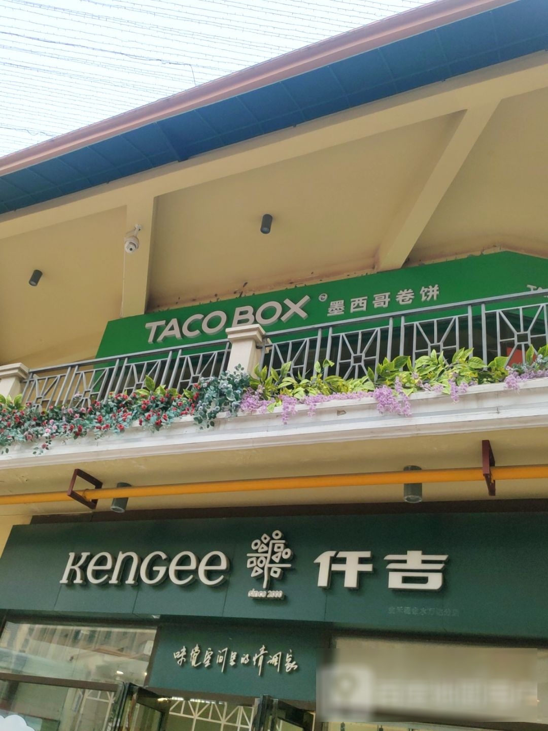 TACO BOX墨西哥卷饼