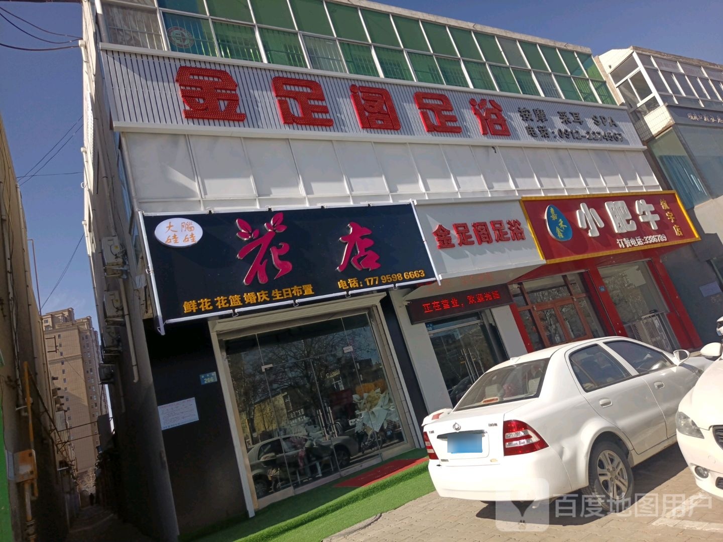 大脑娃娃花店