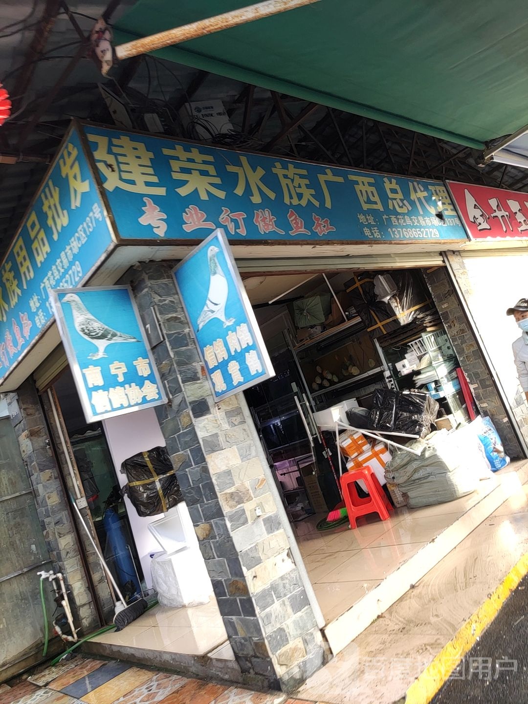 建荣水族(广西总代理)