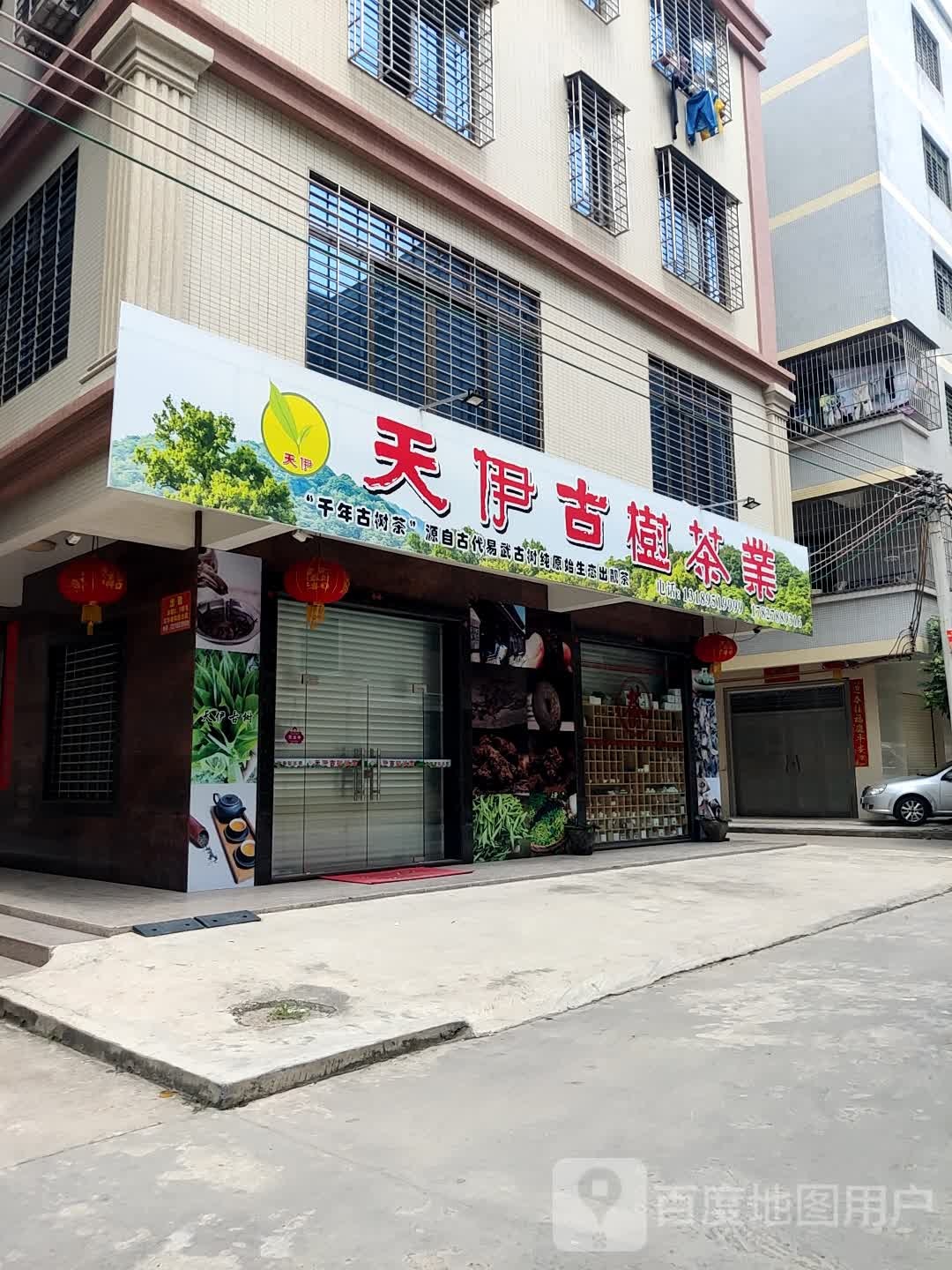 天伊古树茶业商行