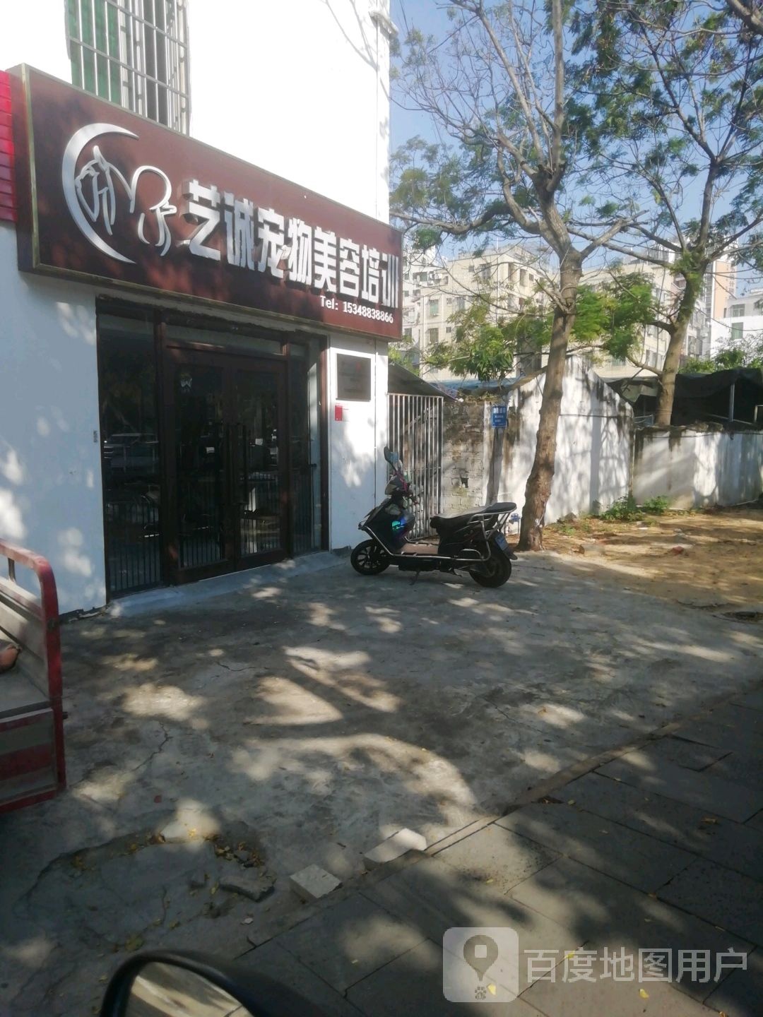 海南艺诚宠物美容培训