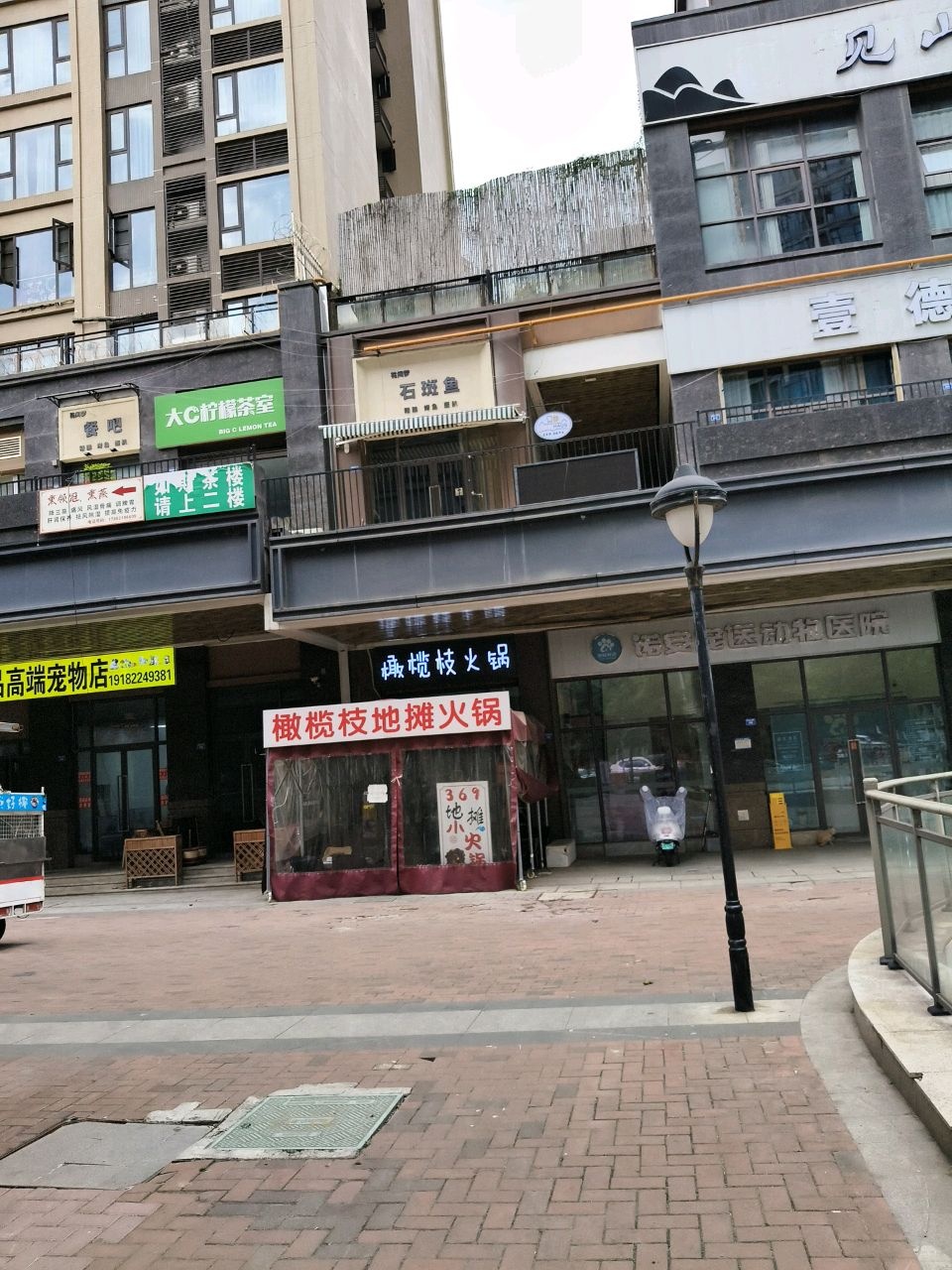 成都市高端宠物猫狗基地
