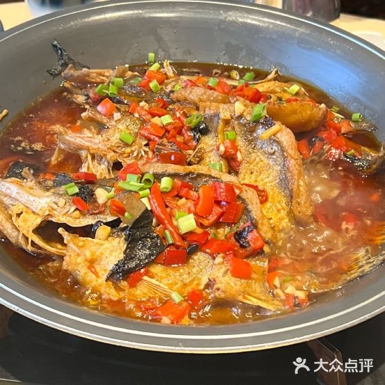 迎香泉鳜鱼