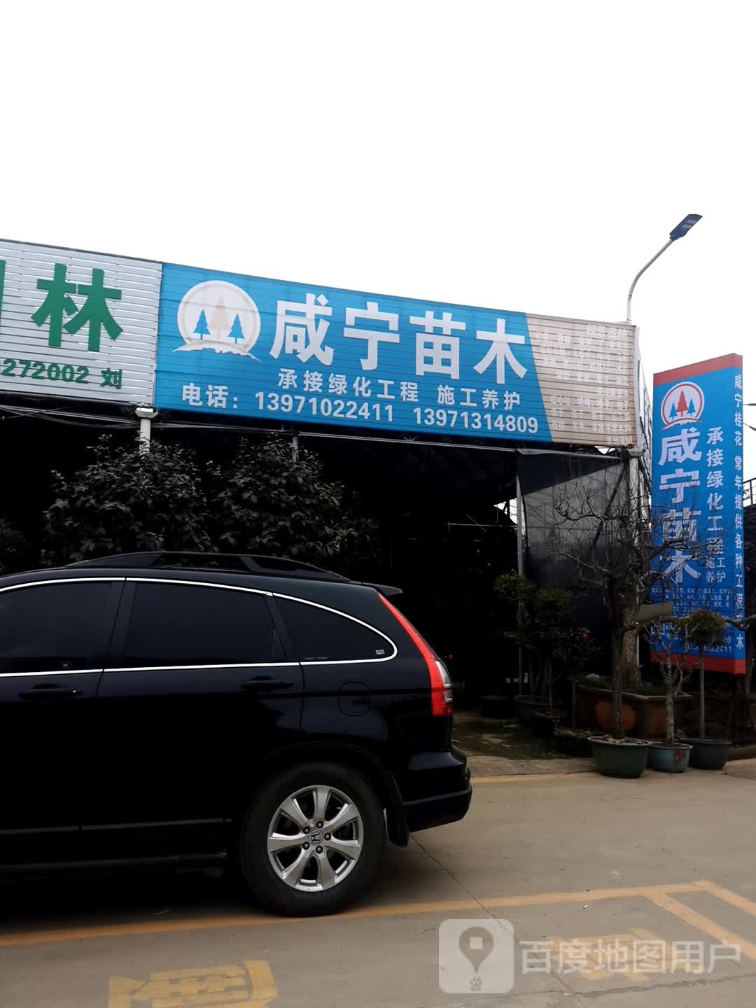 咸宁苗木1店