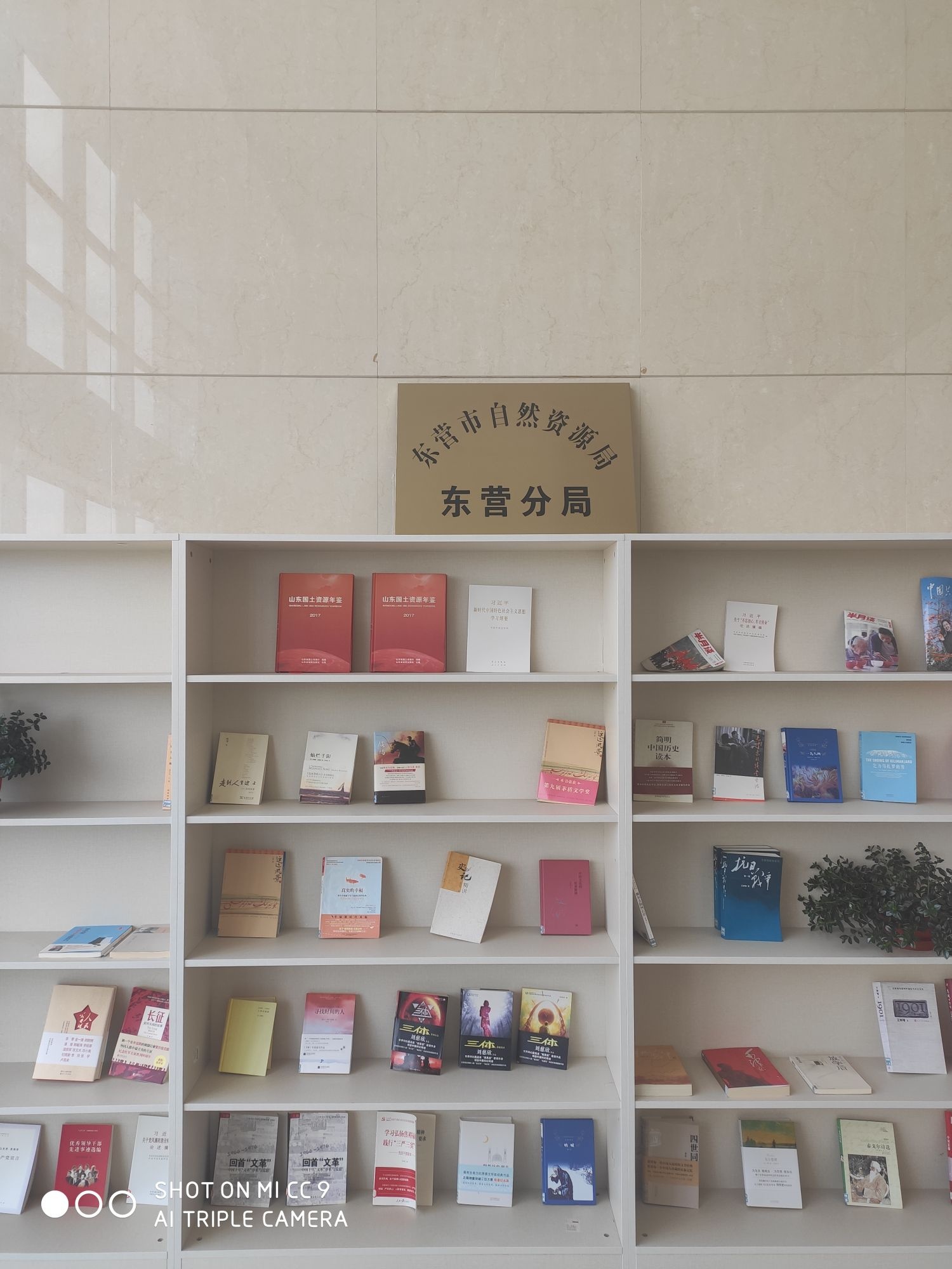 东营市自然资源局东营分局