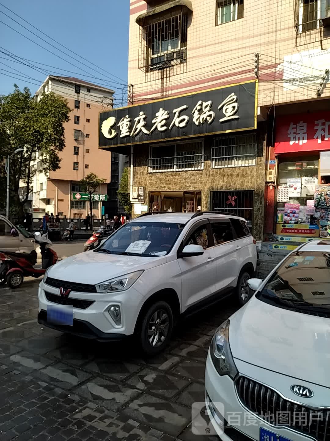 重庆老石斑鱼