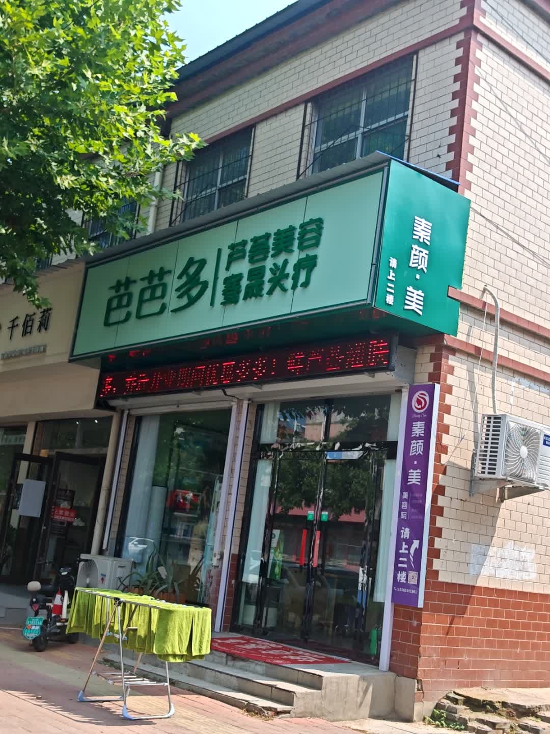 秦颜·美