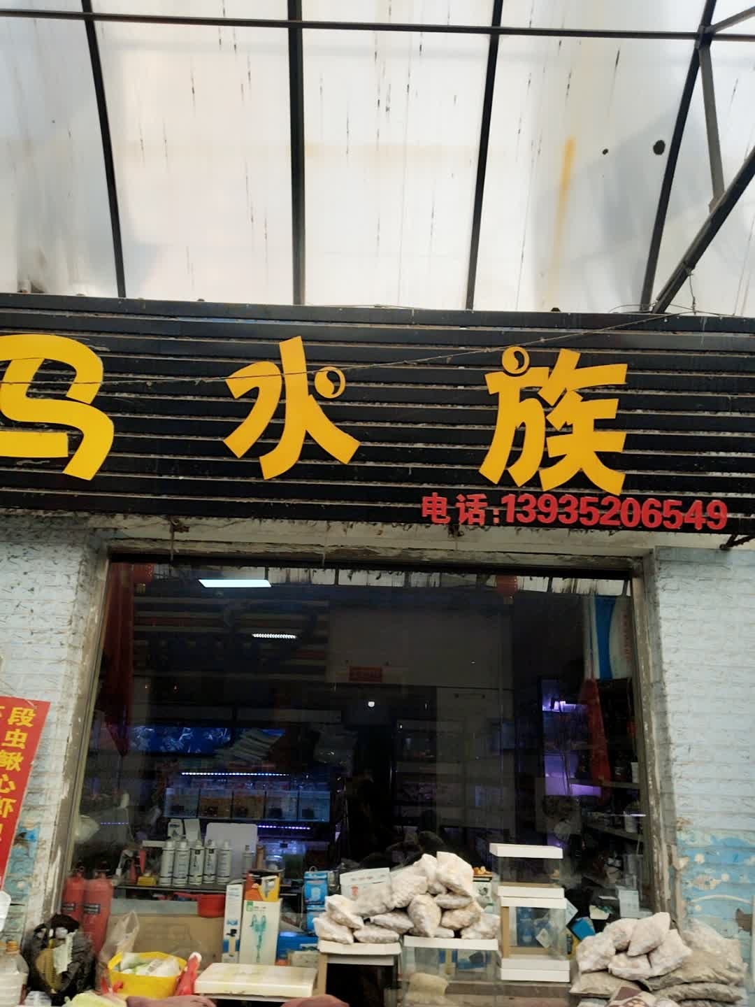 马马水族