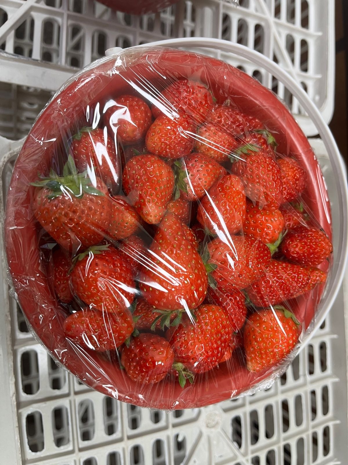 果果阿姨鲜果店(海滨商贸购物中心店)